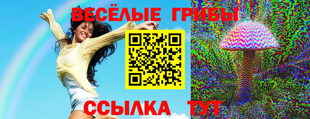 Реж  Галлюциногенные грибы прущие грибы  Вход с VPN 